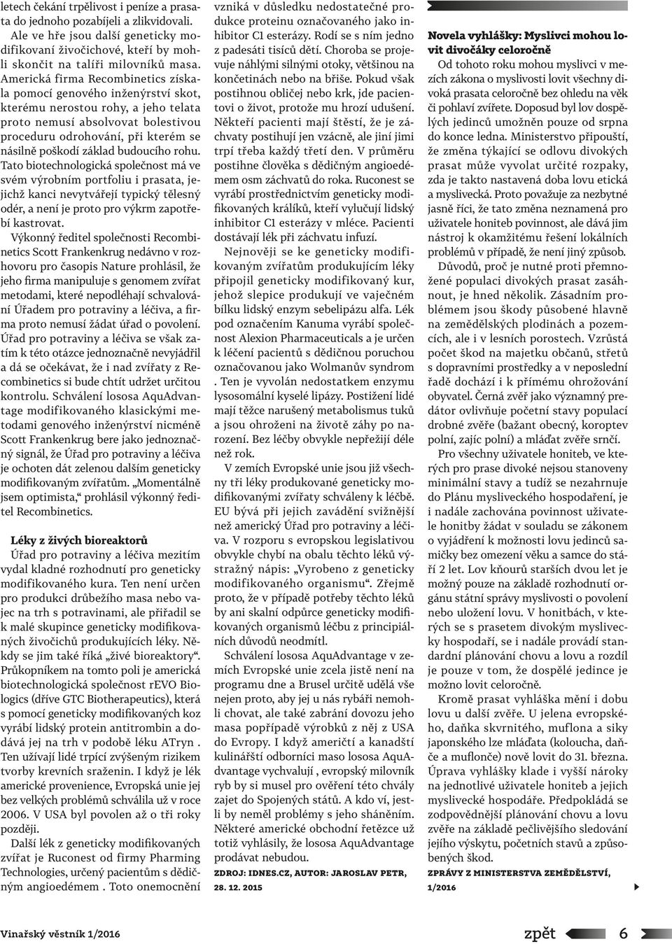 základ budoucího rohu. Tato biotechnologická společnost má ve svém výrobním portfoliu i prasata, jejichž kanci nevytvářejí typický tělesný odér, a není je proto pro výkrm zapotřebí kastrovat.