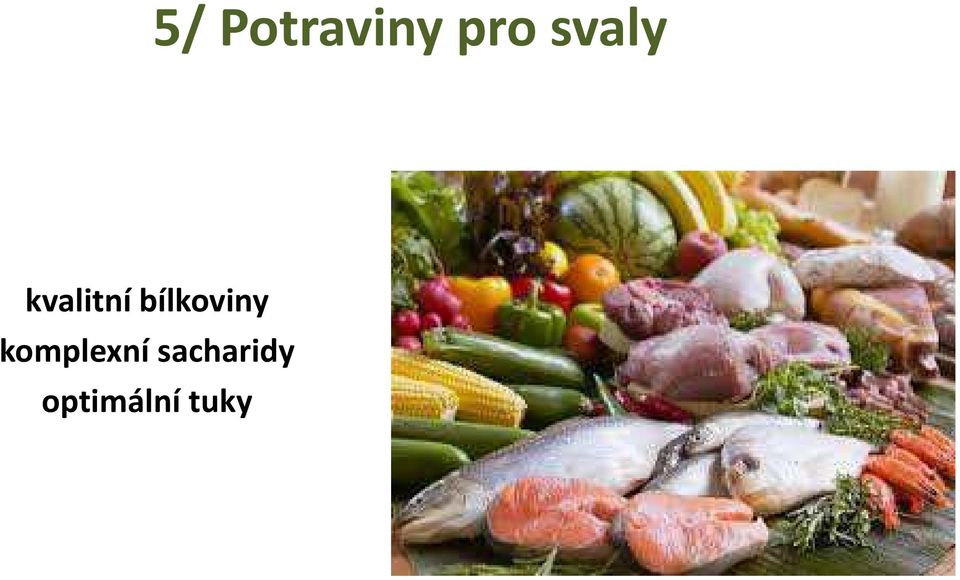 bílkoviny