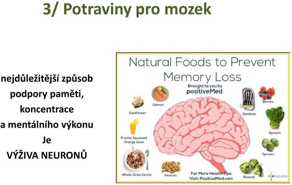 podpory paměti, koncentrace