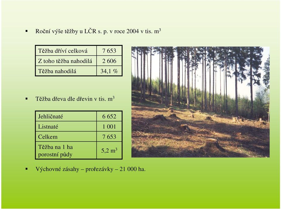 606 34,1 % Těžba dřeva dle dřevin v tis.