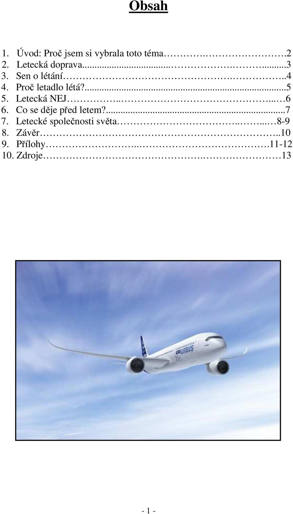 ...5 5. Letecká NEJ..... 6 6. Co se děje před letem?...7 7.