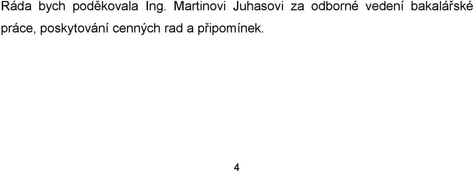 vedení bakalářské práce,