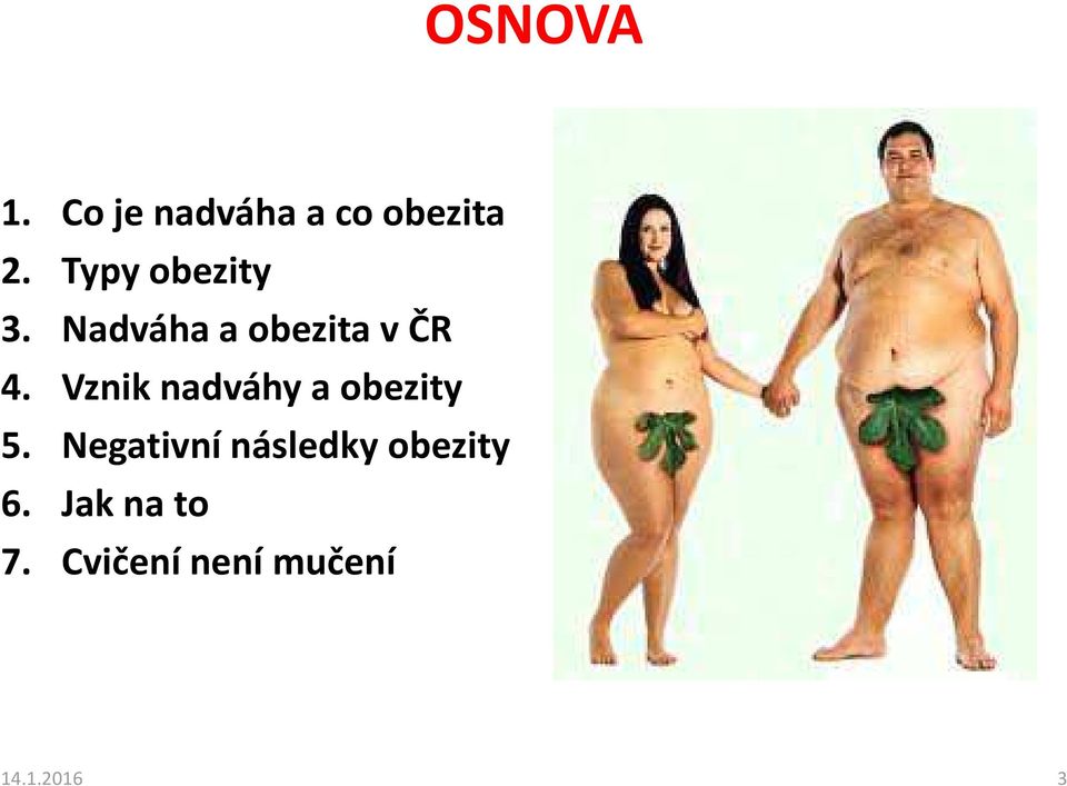 Vznik nadváhy a obezity 5.