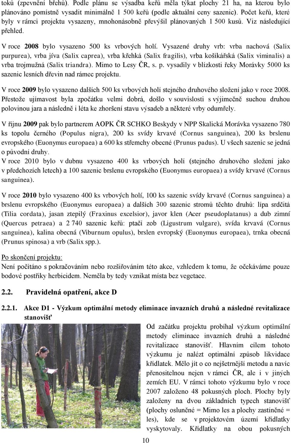 Vysazené druhy vrb: vrba nachová (Salix purpurea), vrba jíva (Salix caprea), vrba křehká (Salix fragilis), vrba košíkářská (Salix viminalis) a vrba trojmužná (Salix triandra). Mimo to Lesy ČR, s. p. vysadily v blízkosti řeky Morávky 5000 ks sazenic lesních dřevin nad rámec projektu.