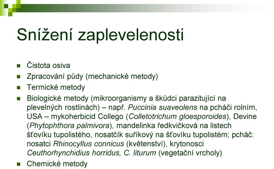 Puccinia suaveolens na pcháči rolním, USA mykoherbicid Collego (Colletotrichum gloesporoides), Devine (Phytophthora palmivora),