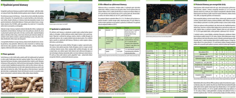 Zásadní výhodou je, že biomasa slouží jako akumulátor energie a lze ji poměrně jednoduše a dlouhodobě skladovat. Z hektaru pole získáme hmotu s energetickým obsahem 40 až 90 MWh, podle typu plodiny.