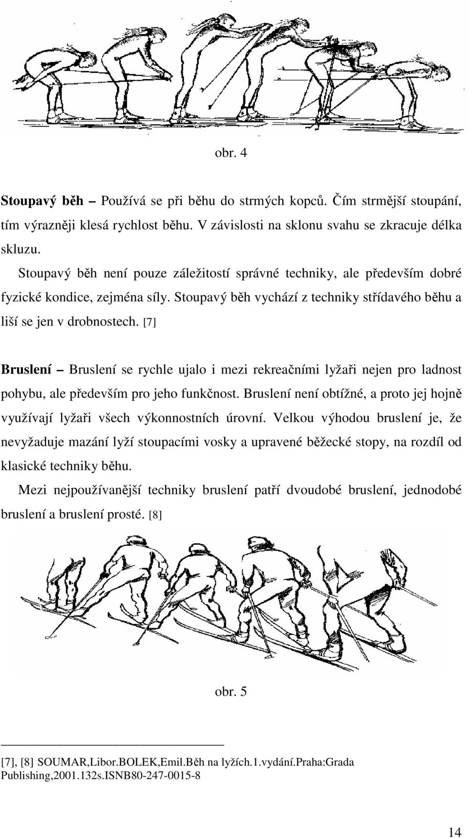 [7] Bruslení Bruslení se rychle ujalo i mezi rekreačními lyžaři nejen pro ladnost pohybu, ale především pro jeho funkčnost.