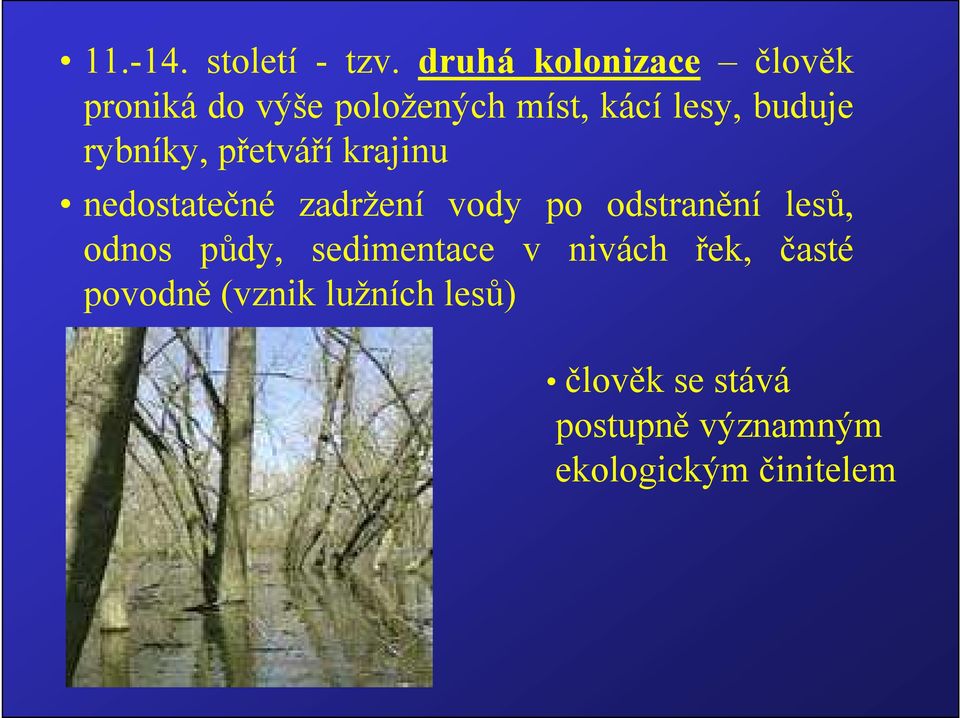 rybníky, přetváří krajinu nedostatečné zadržení vody po odstranění lesů,