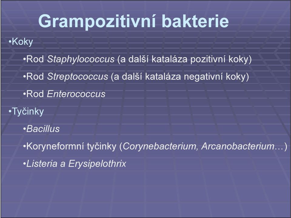 negativní koky) Rod Enterococcus Tyčinky Bacillus Koryneformní