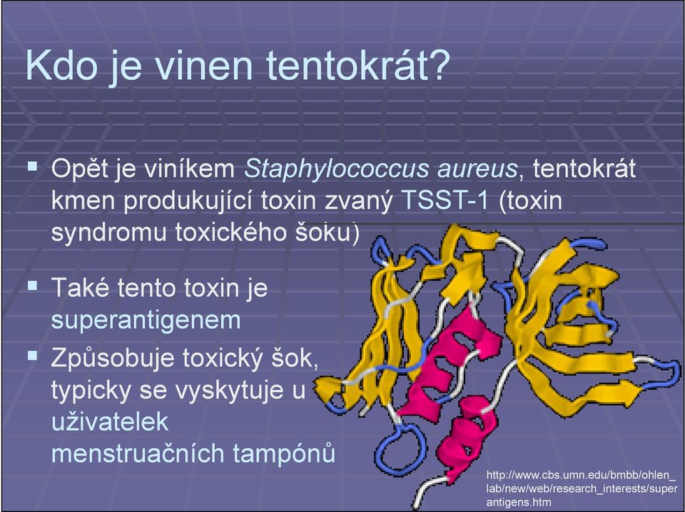 TSST-1 (toxin syndromu toxického šoku) Také tento toxin je superantigenem Způsobuje