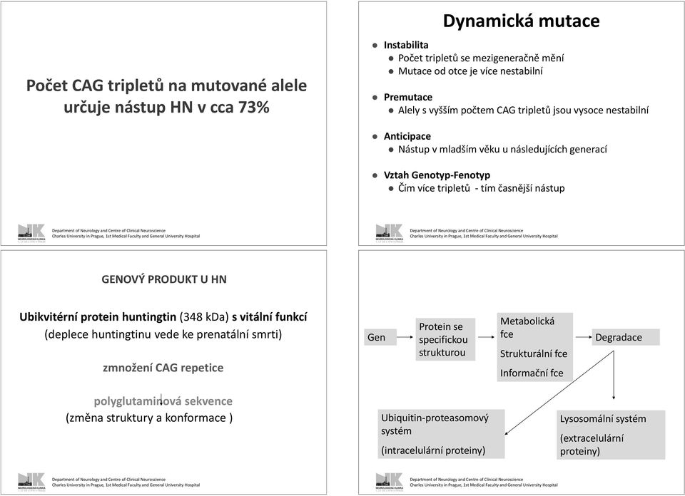 HN Ubikvitérní protein huntingtin (348 kda) s vitální funkcí (deplece huntingtinu vede ke prenatální smrti) zmnožení CAG repetice Gen Protein se specifickou strukturou Metabolická fce