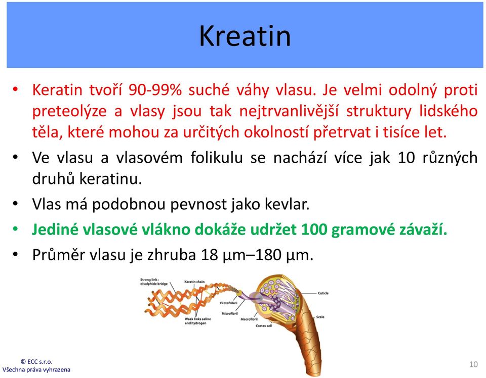 mohou za určitých okolností přetrvat i tisíce let.