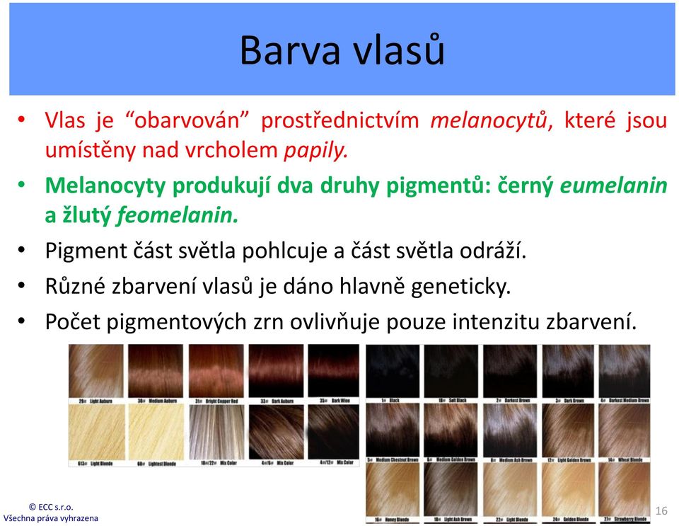 Melanocyty produkují dva druhy pigmentů: černý eumelanin a žlutý feomelanin.