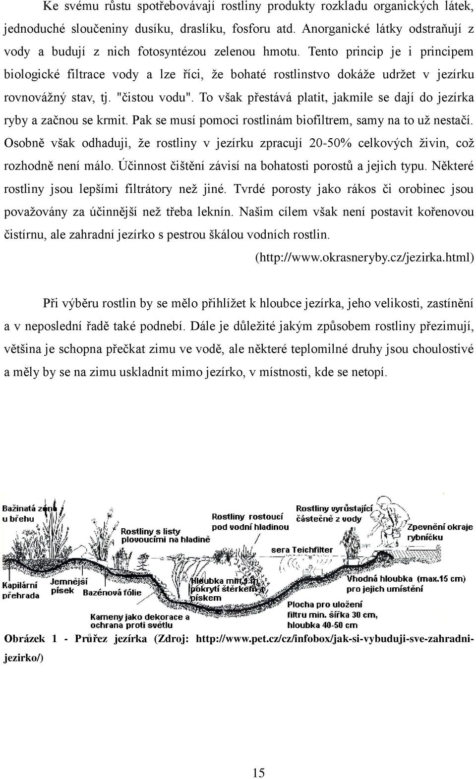 Tento princip je i principem biologické filtrace vody a lze říci, ţe bohaté rostlinstvo dokáţe udrţet v jezírku rovnováţný stav, tj. "čistou vodu".