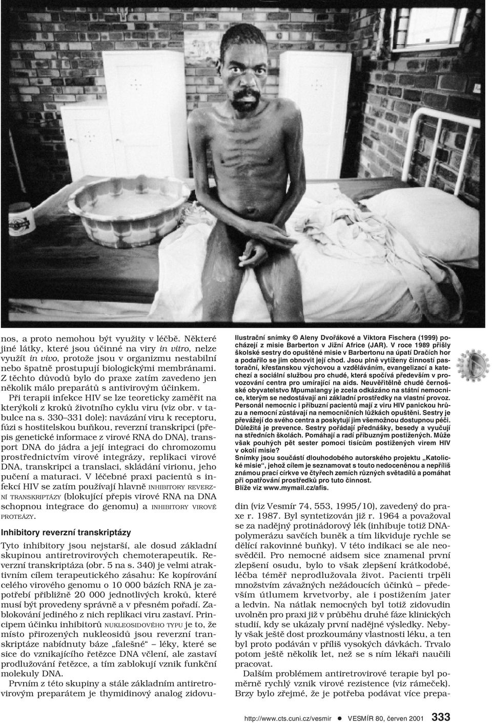Z těchto důvodů bylo do praxe zatím zavedeno jen několik málo preparátů s antivirovým účinkem. Při terapii infekce HIV se lze teoreticky zaměřit na kterýkoli z kroků životního cyklu viru (viz obr.