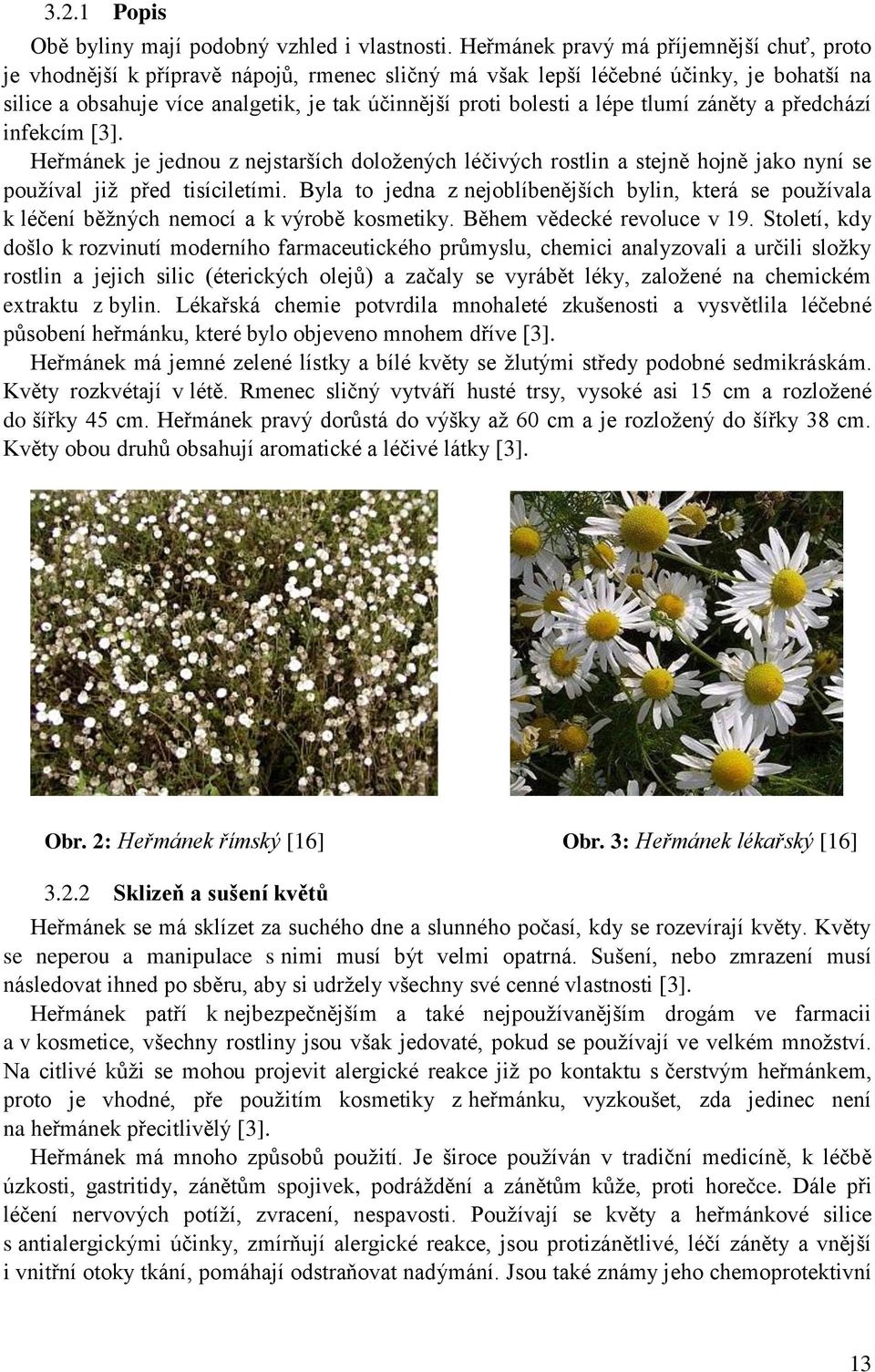 lépe tlumí záněty a předchází infekcím [3]. Heřmánek je jednou z nejstarších doložených léčivých rostlin a stejně hojně jako nyní se používal již před tisíciletími.