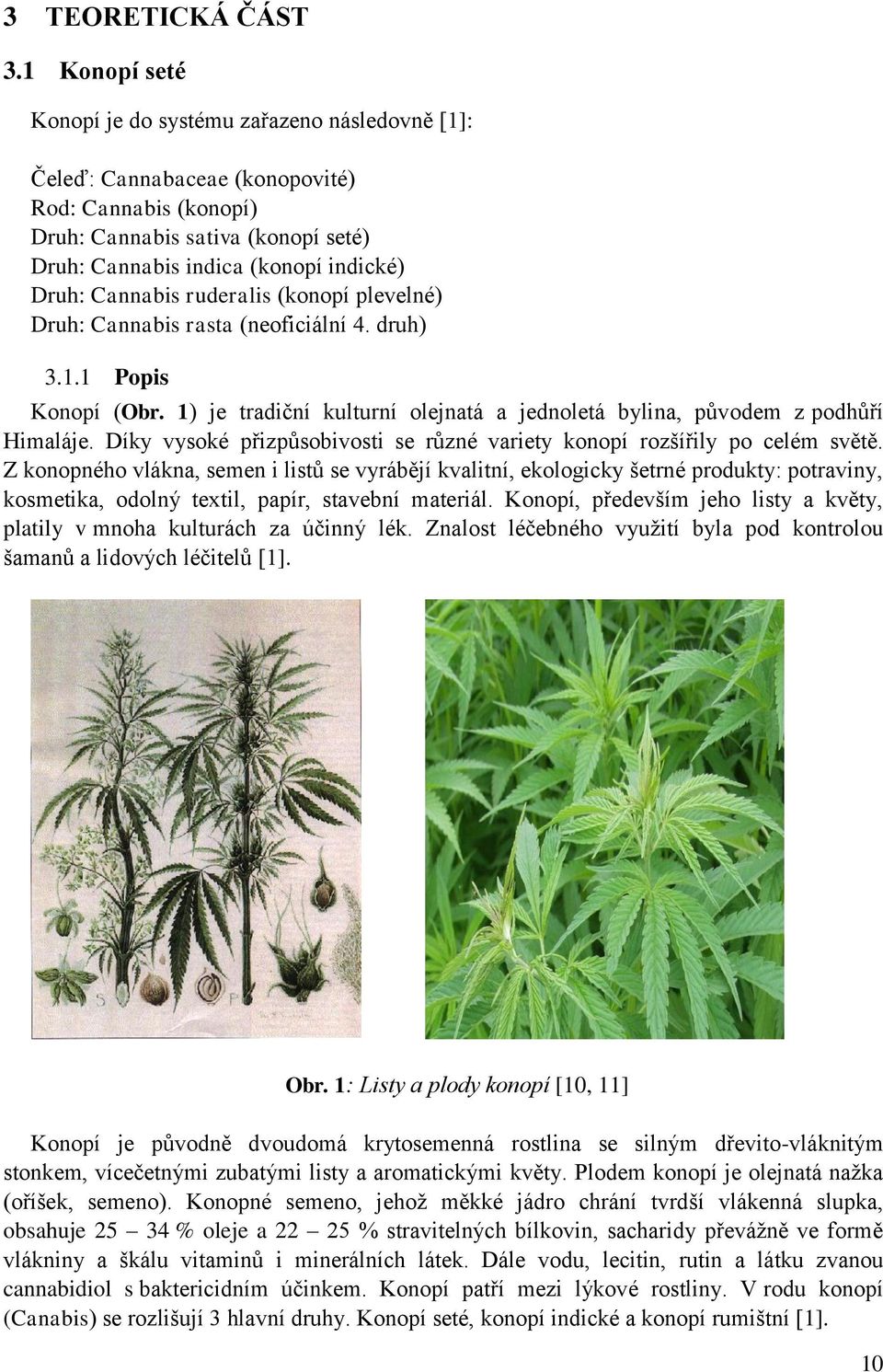 Cannabis ruderalis (konopí plevelné) Druh: Cannabis rasta (neoficiální 4. druh) 3.1.1 Popis Konopí (Obr. 1) je tradiční kulturní olejnatá a jednoletá bylina, původem z podhůří Himaláje.