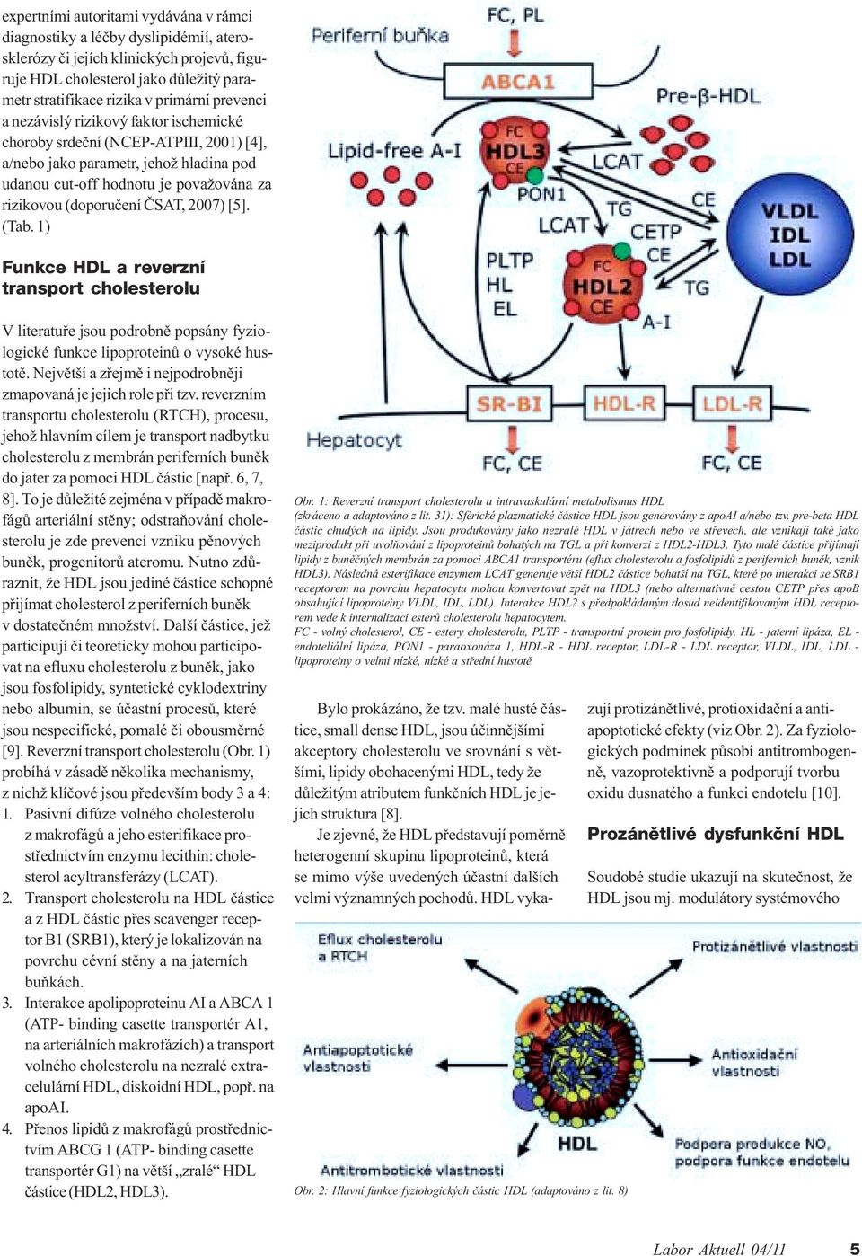 2007) [5]. (Tab. 1) unkce HDL a reverzní transport cholesterolu V literatuøe jsou podrobnì popsány fyziologické funkce lipoproteinù o vysoké hustotì.
