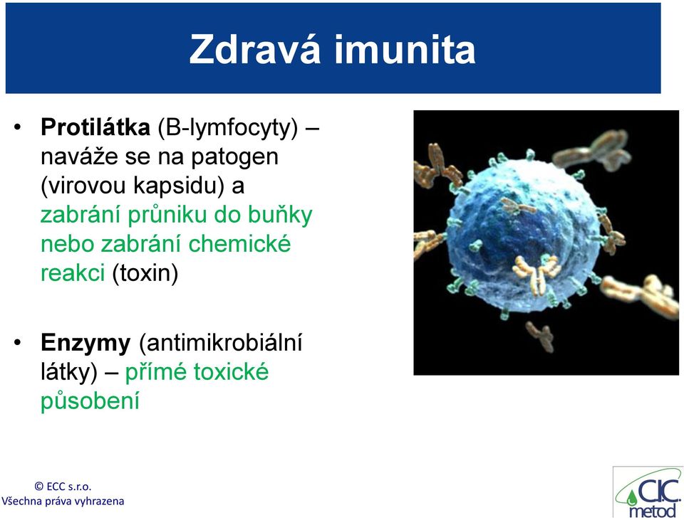 průniku do buňky nebo zabrání chemické reakci