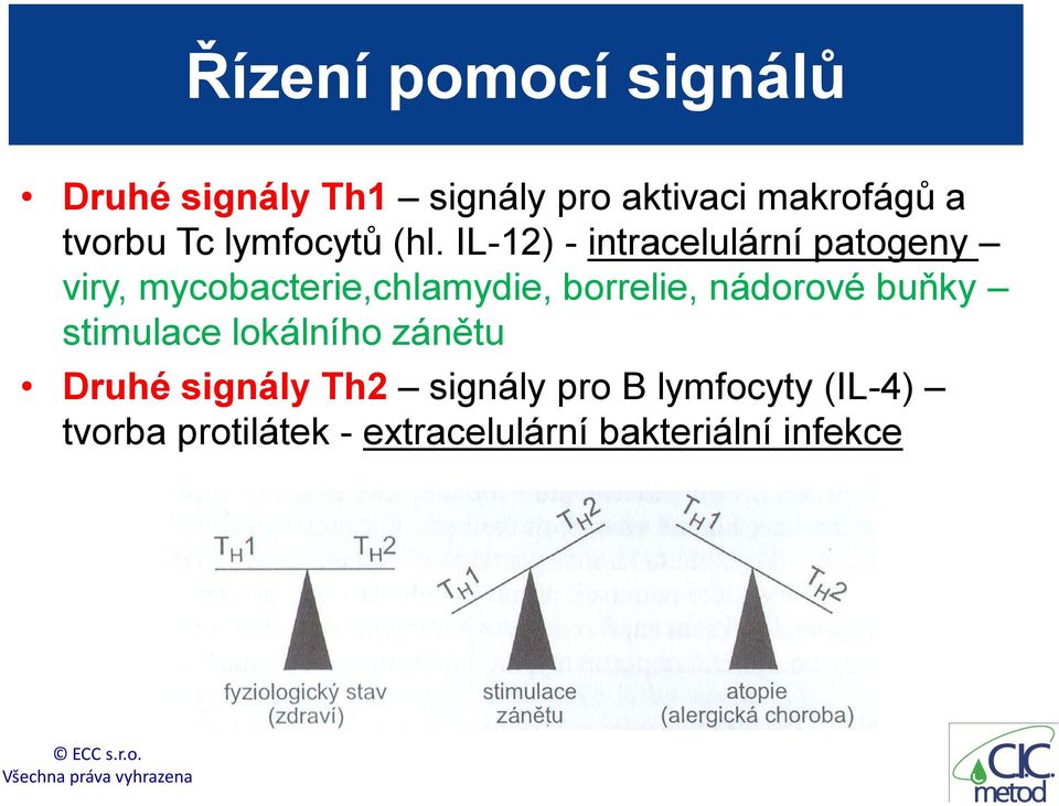 IL-12) - intracelulární patogeny viry, mycobacterie,chlamydie, borrelie,