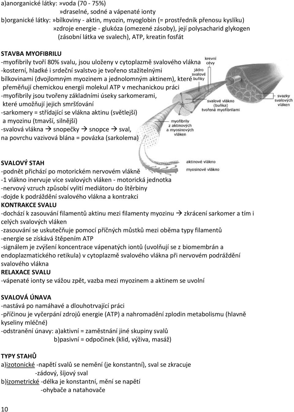 svalstvo je tvořeno stažitelnými bílkovinami (dvojlomným myozinem a jednolomným aktinem), které přeměňují chemickou energii molekul ATP v mechanickou práci -myofibrily jsou tvořeny základními úseky
