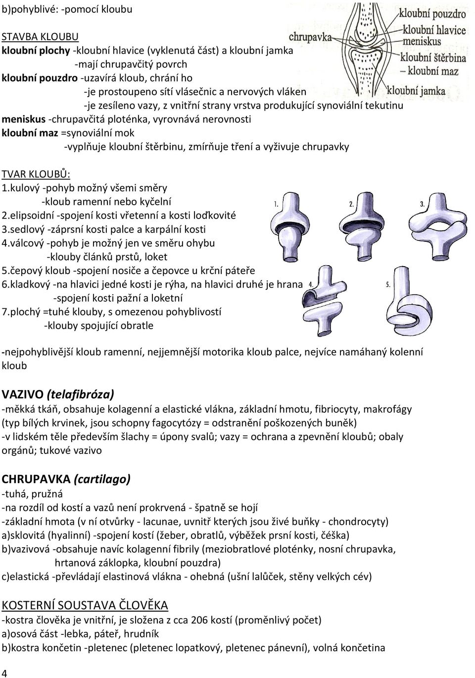 kloubní štěrbinu, zmírňuje tření a vyživuje chrupavky TVAR KLOUBŮ: 1.kulový -pohyb možný všemi směry -kloub ramenní nebo kyčelní 2.elipsoidní -spojení kosti vřetenní a kosti loďkovité 3.