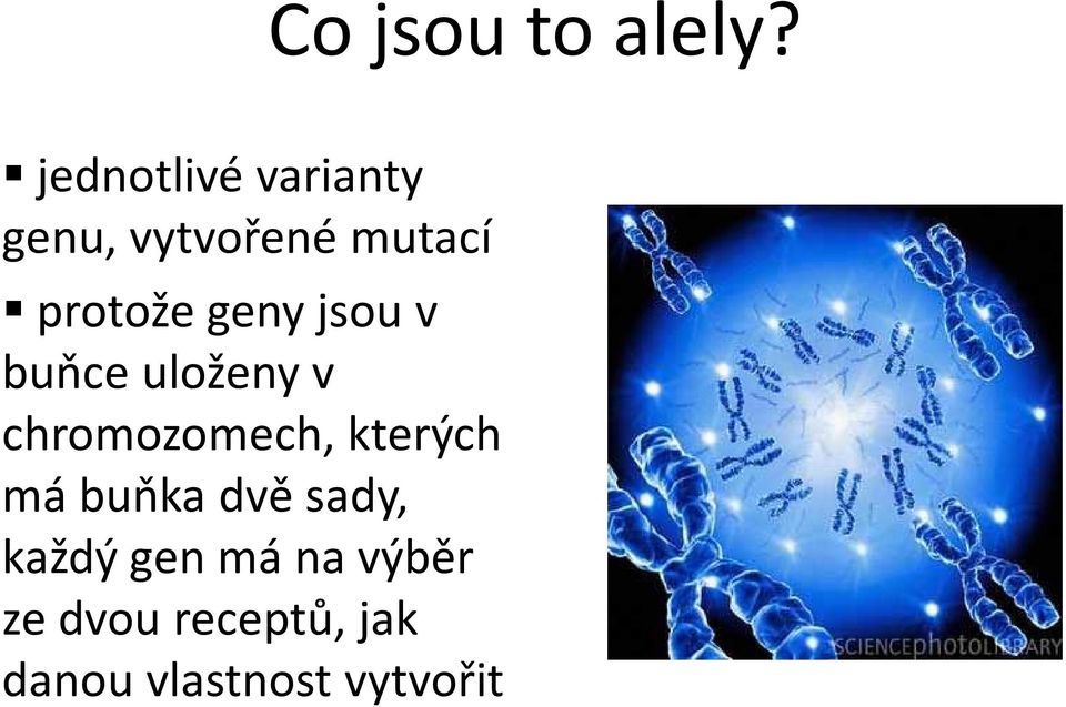 geny jsou v buňce uloženy v chromozomech, kterých