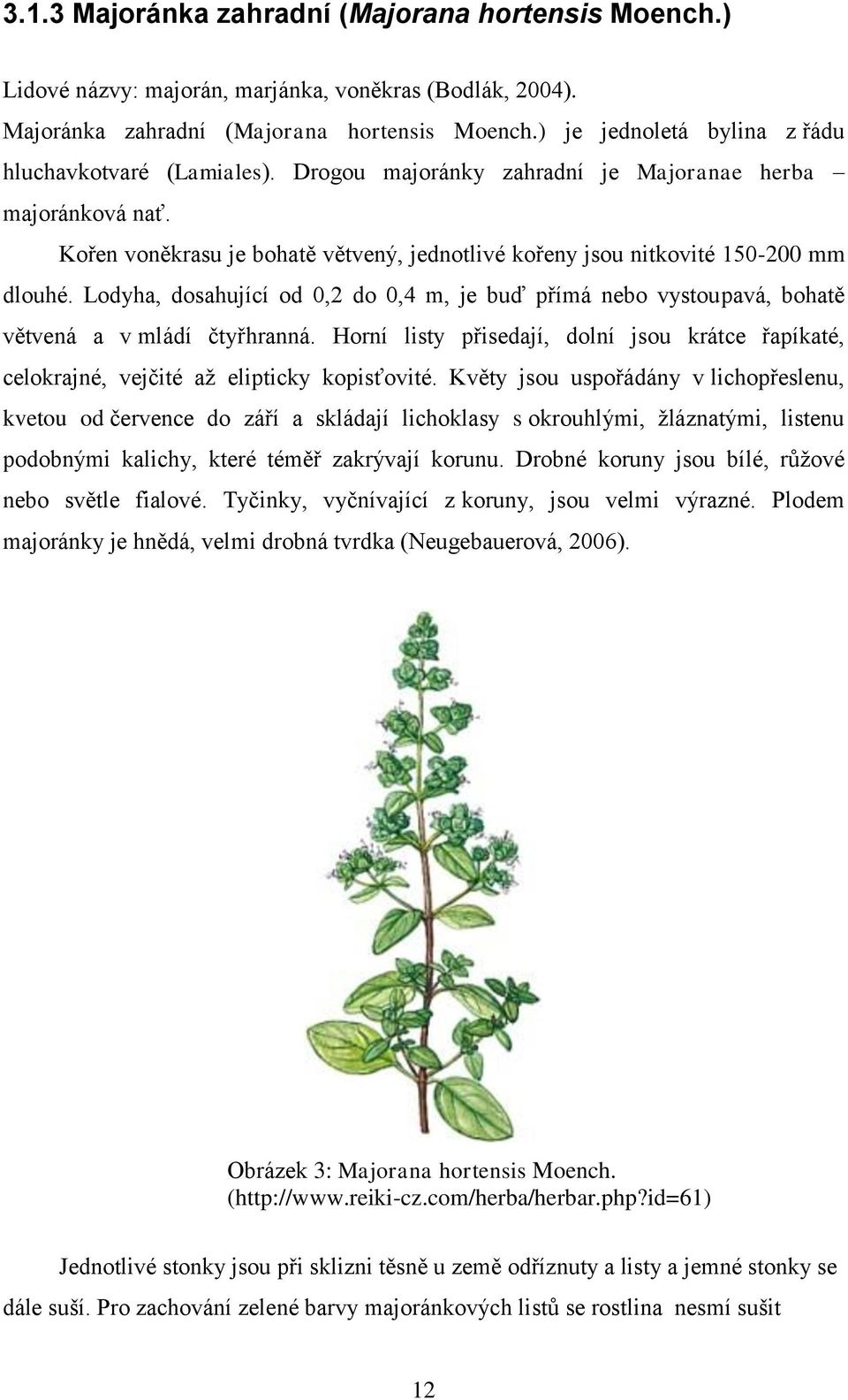 Lodyha, dosahující od 0,2 do 0,4 m, je buď přímá nebo vystoupavá, bohatě větvená a v mládí čtyřhranná. Horní listy přisedají, dolní jsou krátce řapíkaté, celokrajné, vejčité až elipticky kopisťovité.