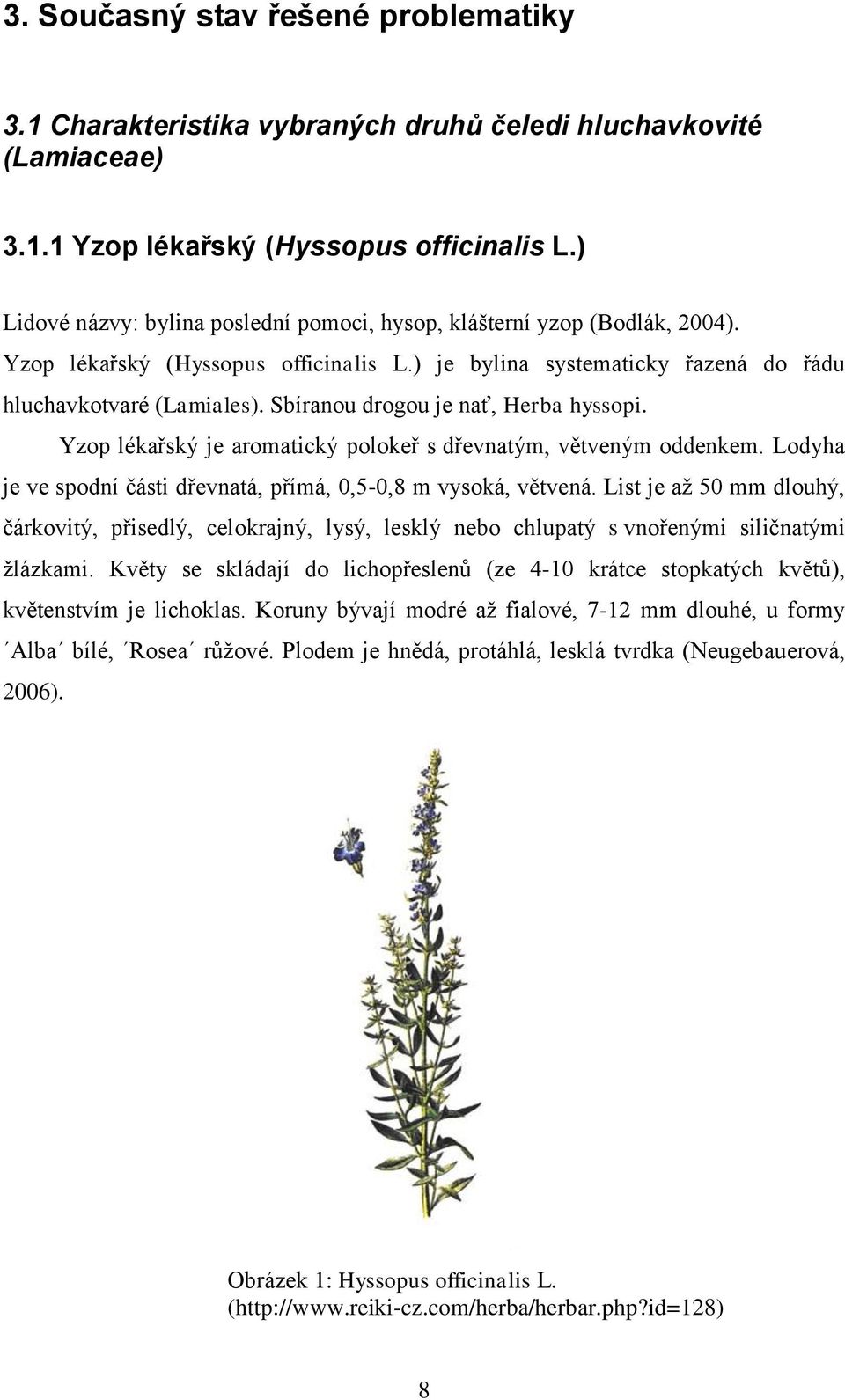 Sbíranou drogou je nať, Herba hyssopi. Yzop lékařský je aromatický polokeř s dřevnatým, větveným oddenkem. Lodyha je ve spodní části dřevnatá, přímá, 0,5-0,8 m vysoká, větvená.