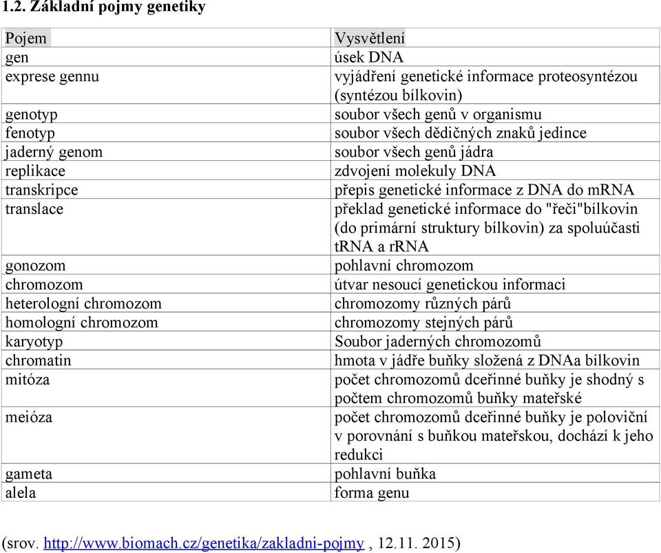 jádra zdvojení molekuly DNA přepis genetické informace z DNA do mrna překlad genetické informace do "řeči"bílkovin (do primární struktury bílkovin) za spoluúčasti trna a rrna pohlavní chromozom útvar