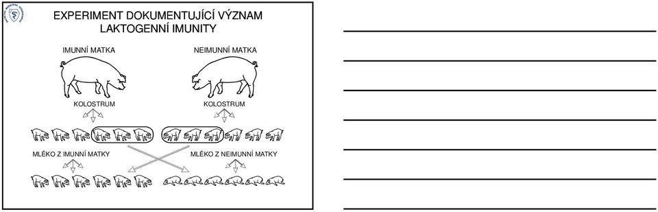 NEIMUNNÍ MATKA KOLOSTRUM KOLOSTRUM