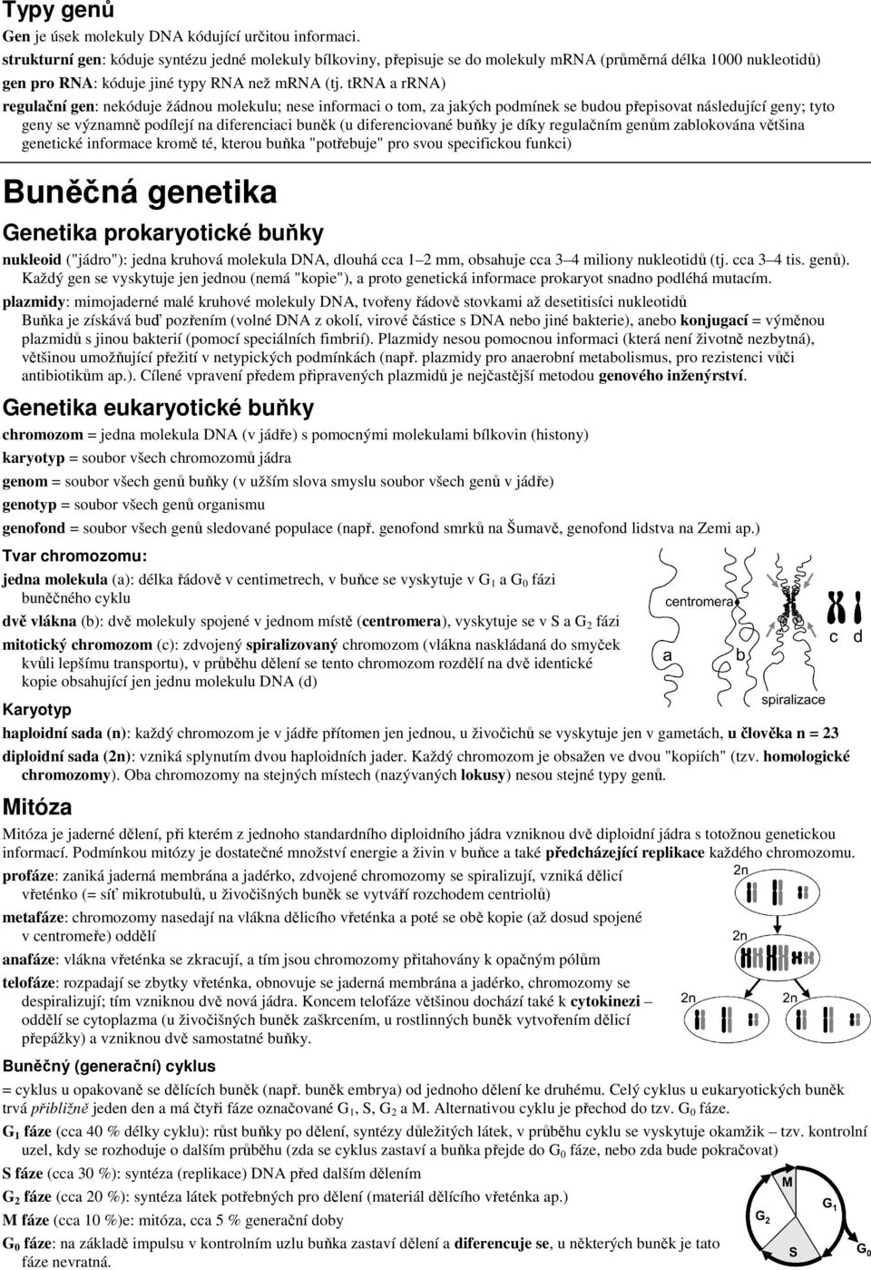 trna a rrna) regulační gen: nekóduje žádnou molekulu; nese informaci o tom, za jakých podmínek se budou přepisovat následující geny; tyto geny se významně podílejí na diferenciaci buněk (u