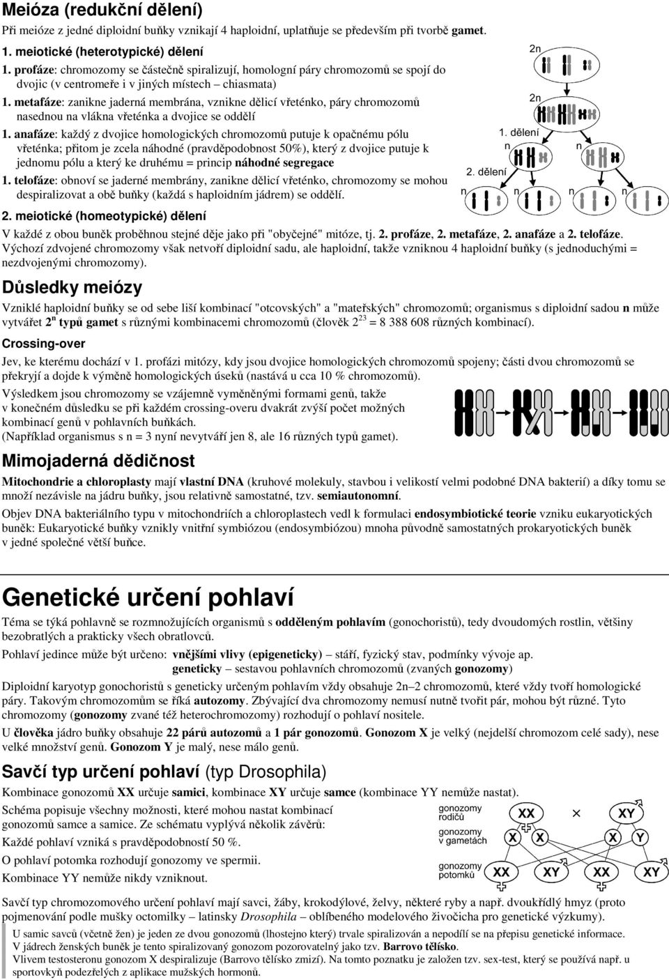 metafáze: zanikne jaderná membrána, vznikne dělicí vřeténko, páry chromozomů nasednou na vlákna vřeténka a dvojice se oddělí 1.