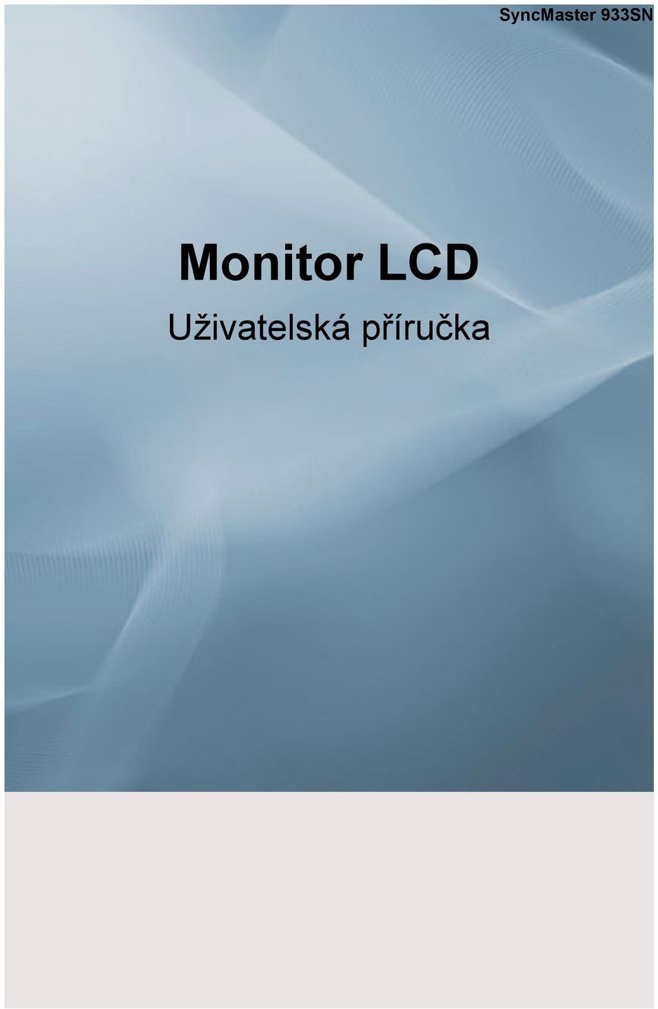 Monitor LCD