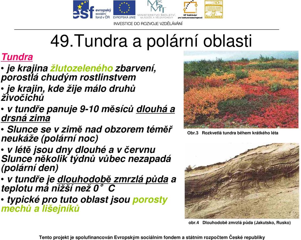 červnu Slunce několik týdnů vůbec nezapadá (polární den) v tundře je dlouhodobě zmrzlá půda a teplotu má nižší než 0 C typické