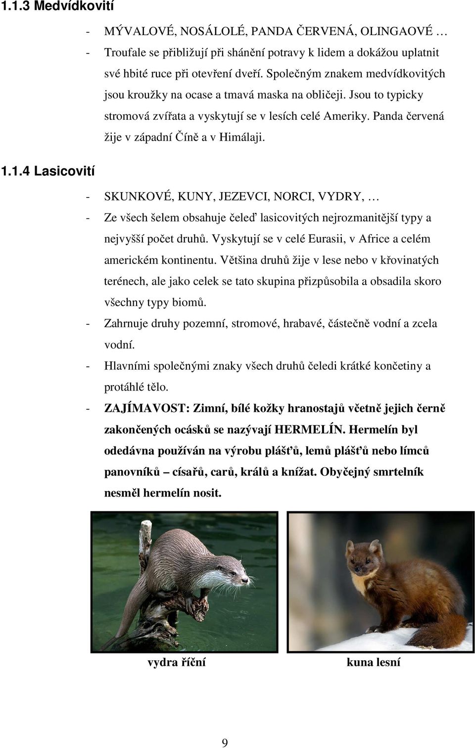 1.1.4 Lasicovití - SKUNKOVÉ, KUNY, JEZEVCI, NORCI, VYDRY, - Ze všech šelem obsahuje čeleď lasicovitých nejrozmanitější typy a nejvyšší počet druhů.