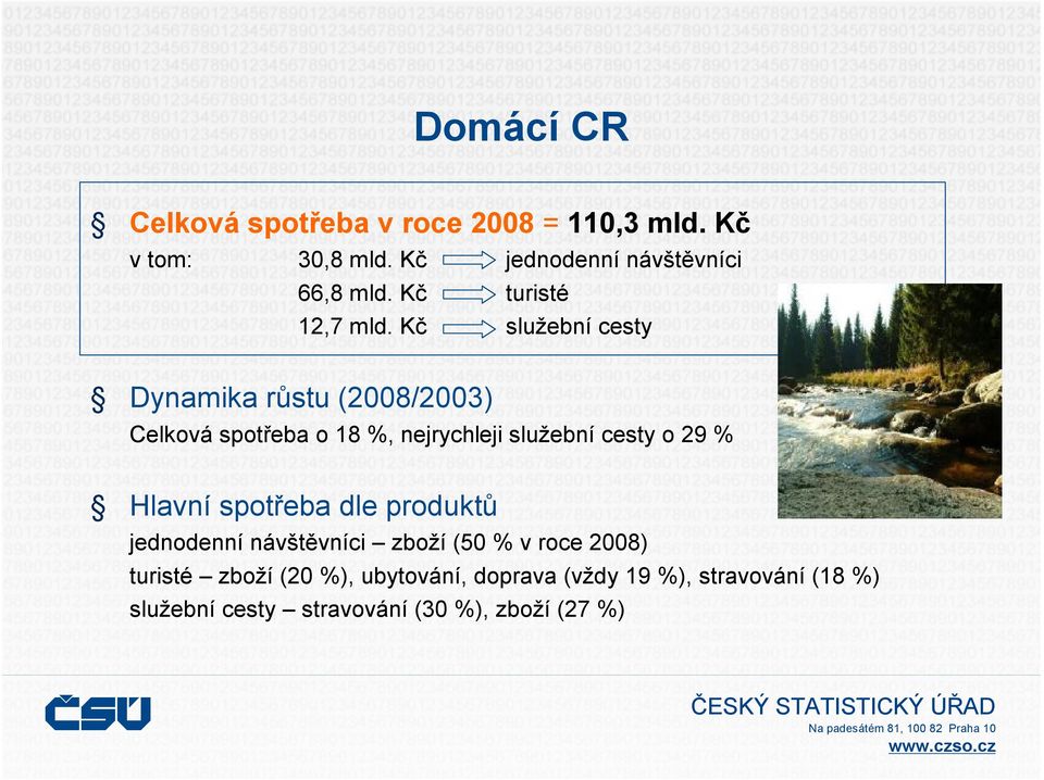 Kč služební cesty Dynamika růstu (2008/2003) Celková spotřeba o 18 %, nejrychleji služební cesty o 29 %