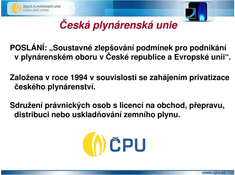 Založena v roce 1994 v souvislosti se zahájením privatizace českého