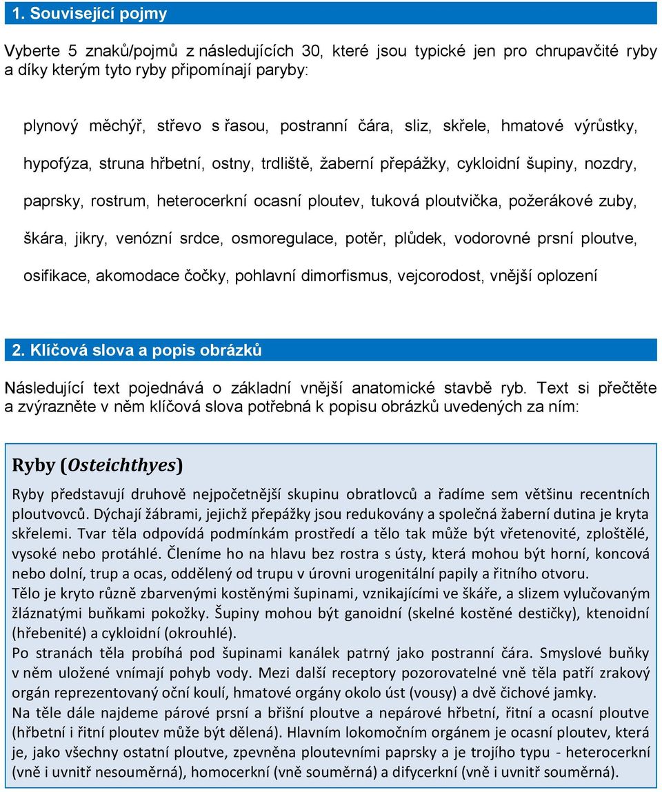 zuby, škára, jikry, venózní srdce, osmoregulace, potěr, plůdek, vodorovné prsní ploutve, osifikace, akomodace čočky, pohlavní dimorfismus, vejcorodost, vnější oplození 2.