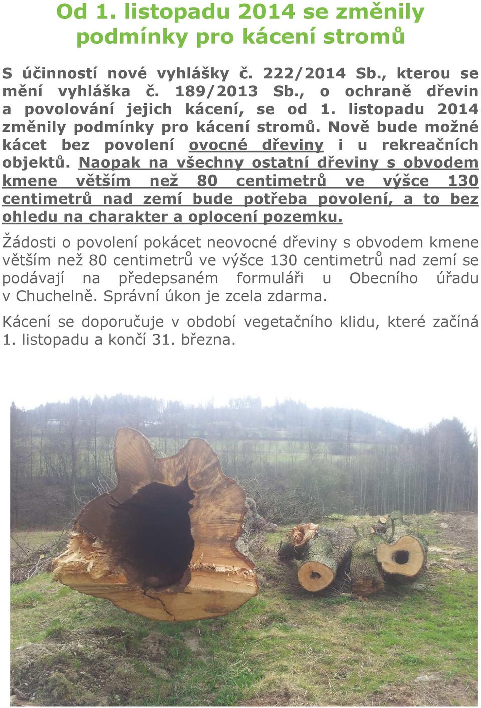 Naopak na všechny ostatní dřeviny s obvodem kmene větším než 80 centimetrů ve výšce 130 centimetrů nad zemí bude potřeba povolení, a to bez ohledu na charakter a oplocení pozemku.