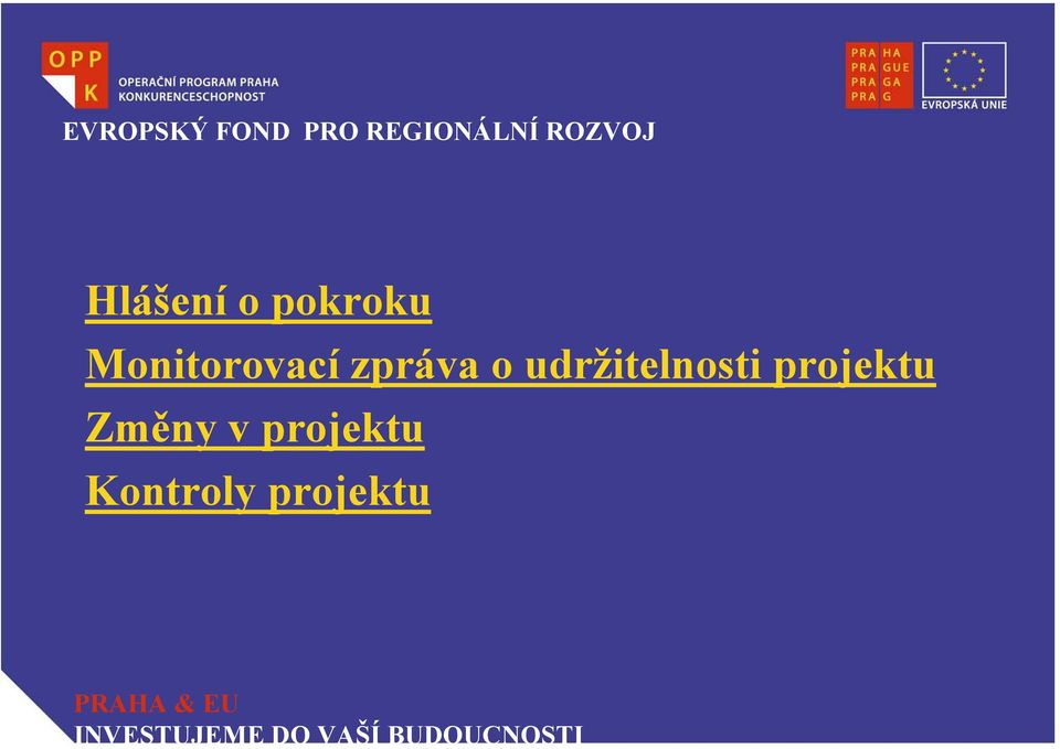 udržitelnosti projektu Změny v projektu