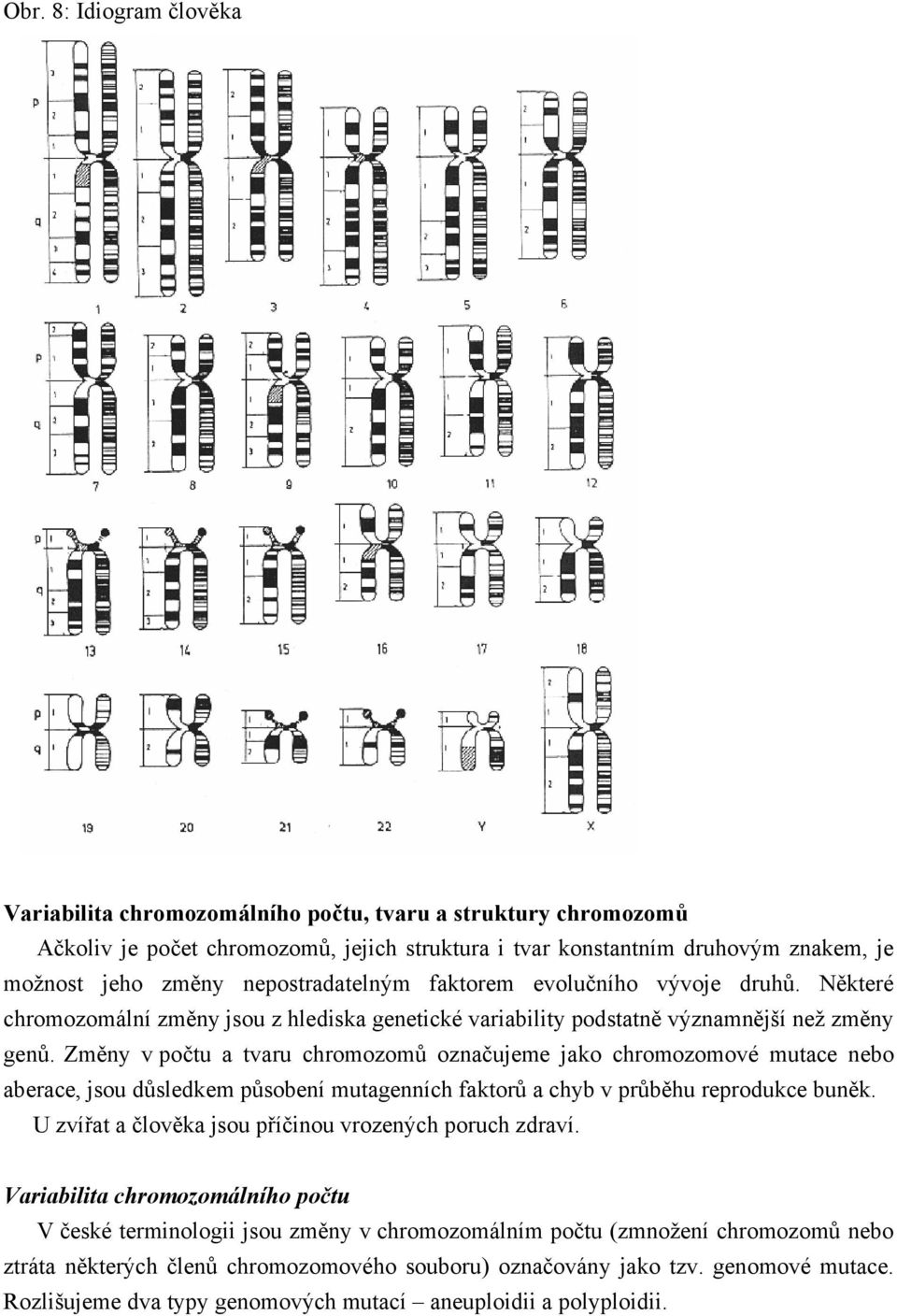 Změny v počtu a tvaru chromozomů označujeme jako chromozomové mutace nebo aberace, jsou důsledkem působení mutagenních faktorů a chyb v průběhu reprodukce buněk.