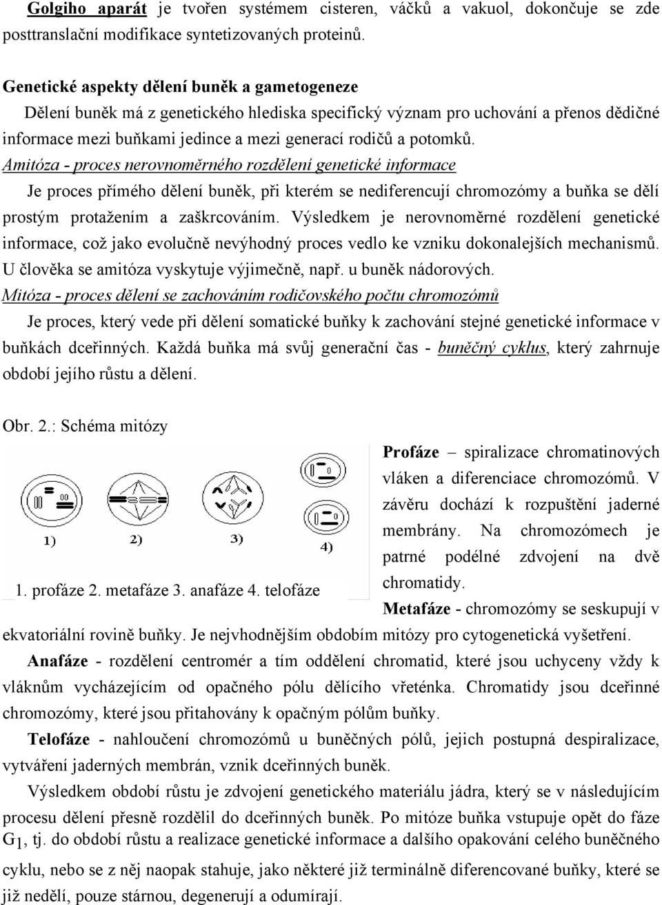 Amitóza - proces nerovnoměrného rozdělení genetické informace Je proces přímého dělení buněk, při kterém se nediferencují chromozómy a buňka se dělí prostým protažením a zaškrcováním.