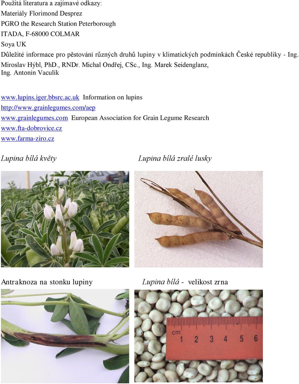 Marek Seidenglanz, Ing. Antonín Vaculík www.lupins.iger.bbsrc.ac.uk Information on lupins http://www.grainlegumes.