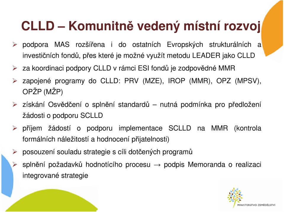 o splnění standardů nutná podmínka pro předložení žádosti o podporu SCLLD příjem žádostí o podporu implementace SCLLD na MMR (kontrola formálních náležitostí a