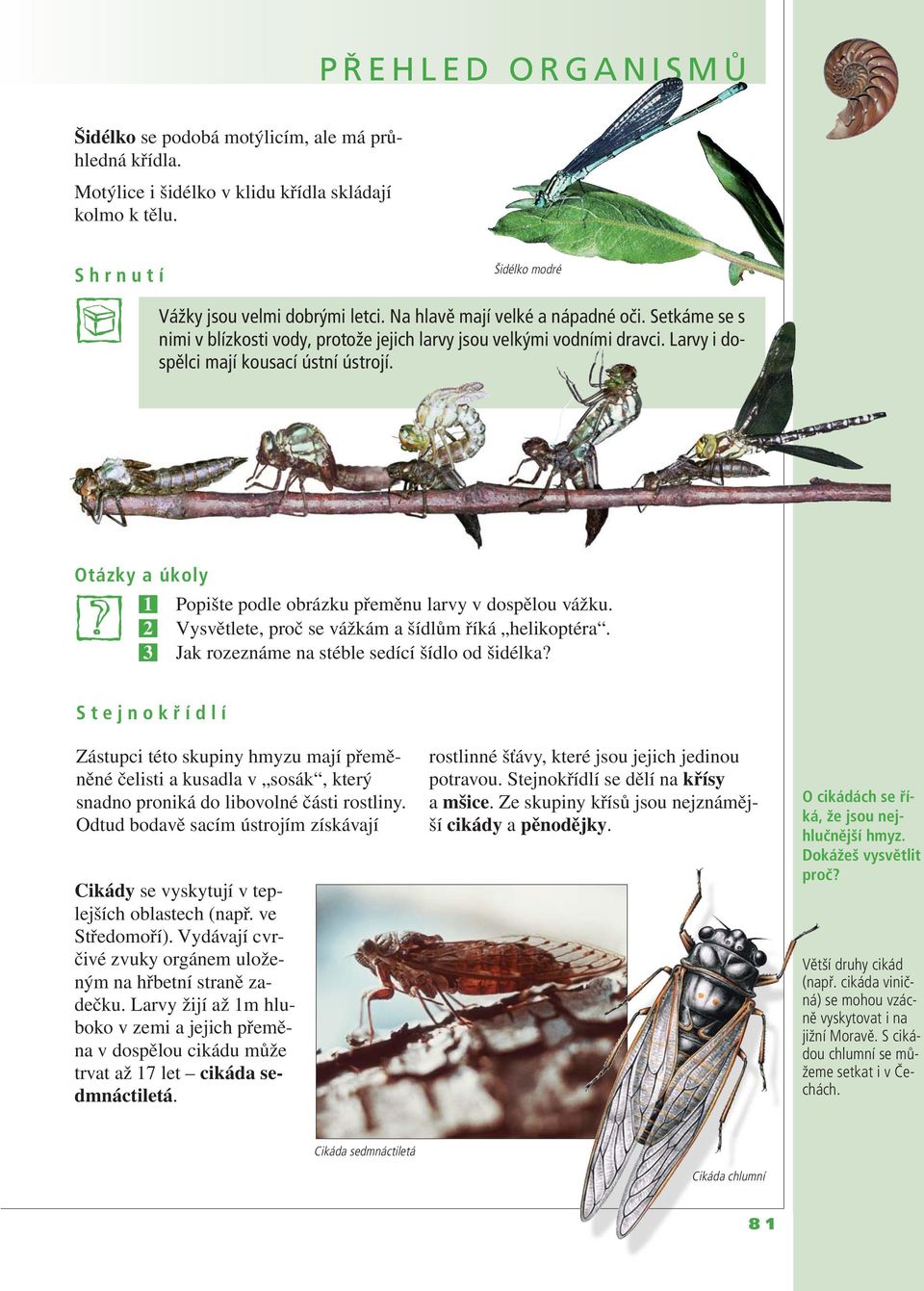 Otázky a úkoly 1 Popište podle obrázku přeměnu larvy v dospělou vážku. 2 Vysvětlete, proč se vážkám a šídlům říká helikoptéra. 3 Jak rozeznáme na stéble sedící šídlo od šidélka?