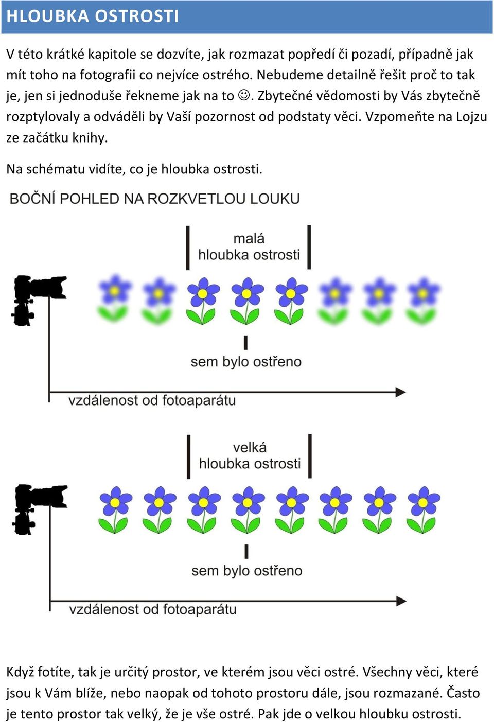 Zbytečné vědomosti by Vás zbytečně rozptylovaly a odváděli by Vaší pozornost od podstaty věci. Vzpomeňte na Lojzu ze začátku knihy.