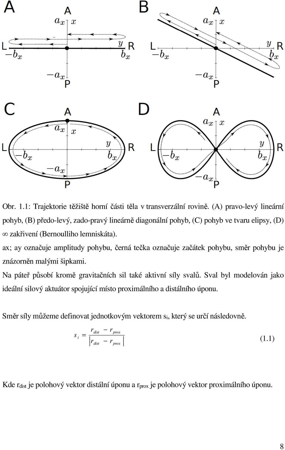 ax; ay označuje amplitudy pohybu, černá tečka označuje začátek pohybu, směr pohybu je znázorněn malými šipkami. Na páteř působí kromě gravitačních sil také aktivní síly svalů.