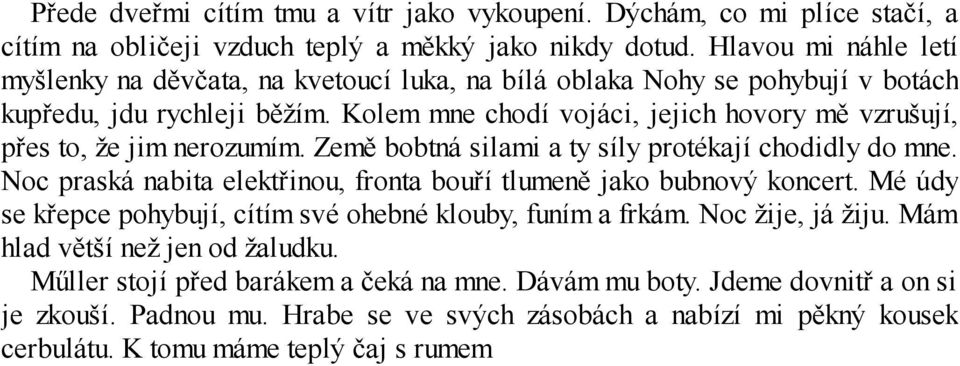 Kolem mne chodí vojáci, jejich hovory mě vzrušují, přes to, že jim nerozumím. Země bobtná silami a ty síly protékají chodidly do mne.