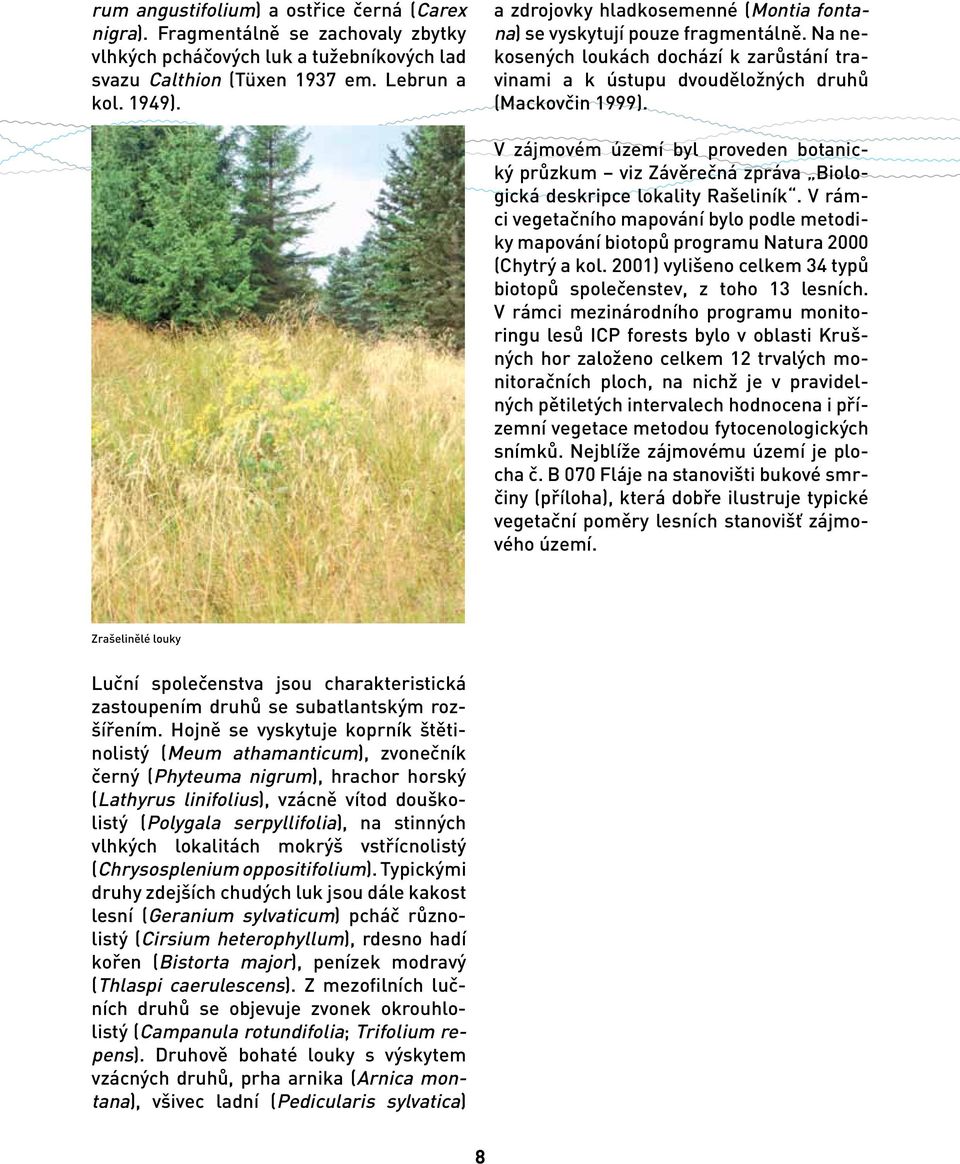 V zájmovém území byl proveden botanický průzkum viz Závěrečná zpráva Biologická deskripce lokality Rašeliník.
